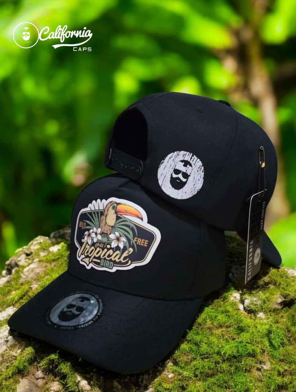 Gorra 1.1 California Tropical