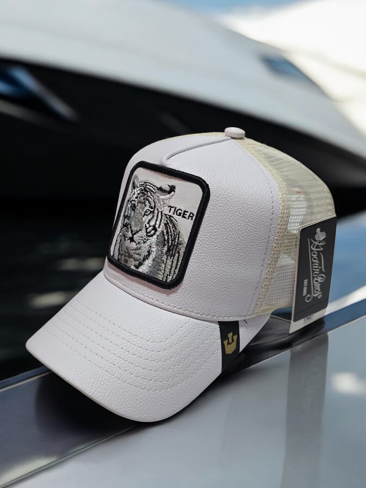 Gorra 1.1 Goorin Tiger Malla