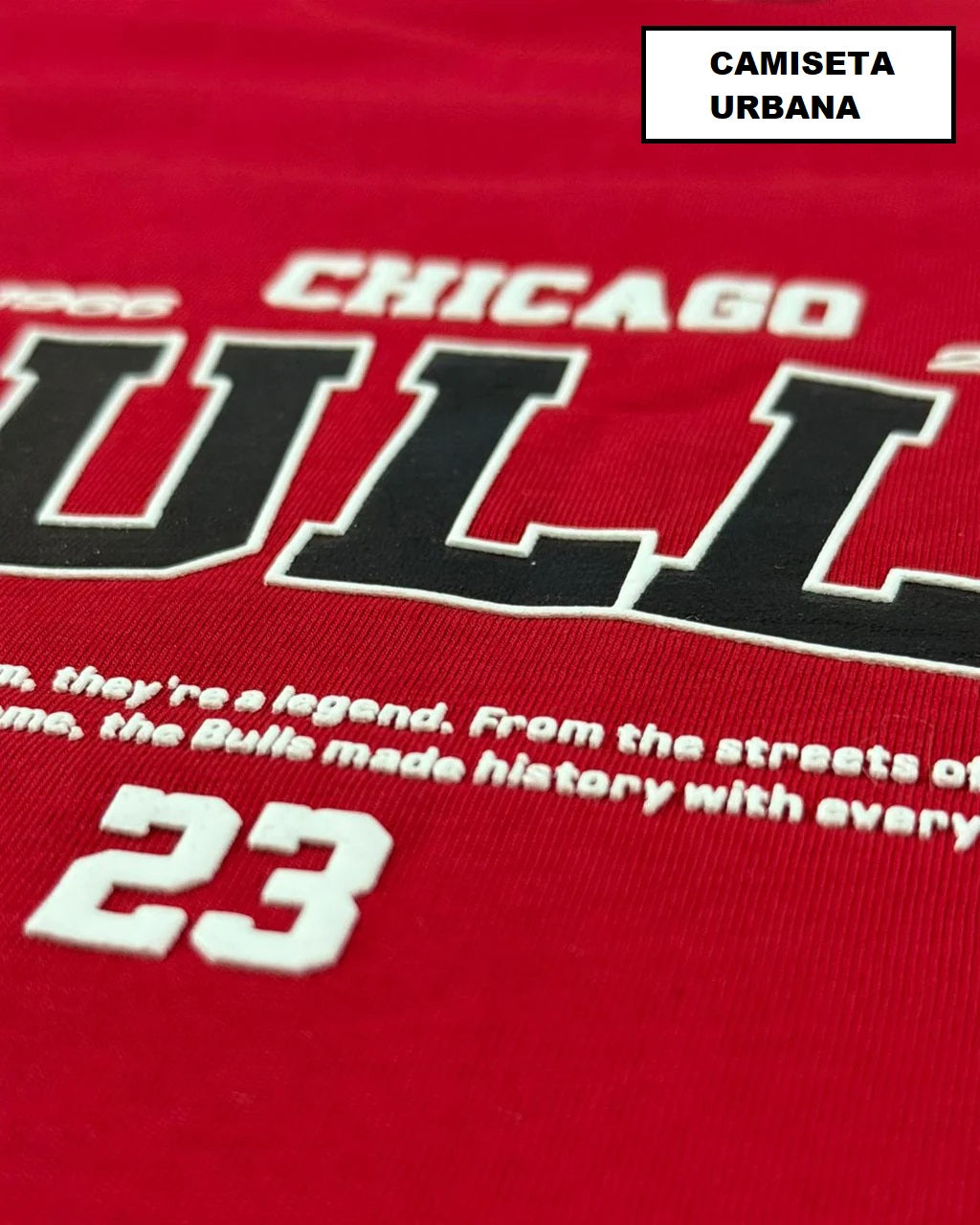 Camiseta Chicago Bulls Roja